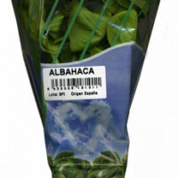 Maceta from Basil