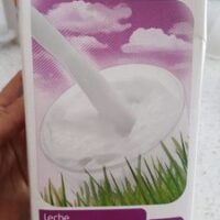 Milk without Lactose