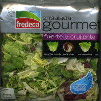 Salad Gourmet
