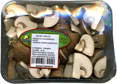 Mushroomscuarteados Mushroomscuarteados