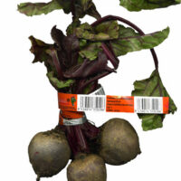 Remolacha