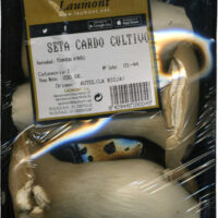 Setas from Cardo
