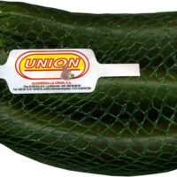 Zucchini