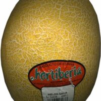 Melón Variedad Galia