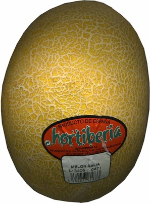 Melón Variedad Galia Melón Variedad Galia