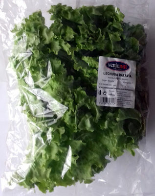 Lechuga Batavia Lechuga Batavia