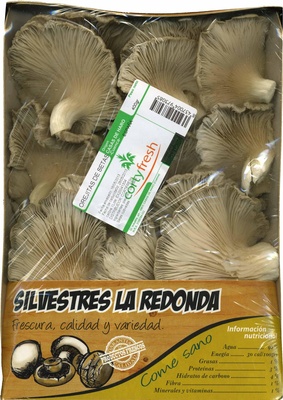 Setas from Ostra "Cortyfresh" Setas from Ostra "Cortyfresh"