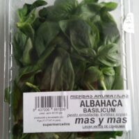 Basil Fresh
