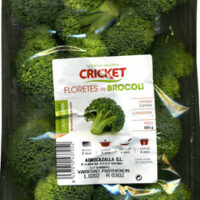 Floretes from Broccoli