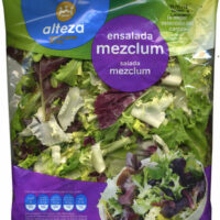 Salad Mezclum