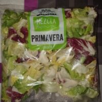 Salad lavada