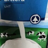 Milk Whole