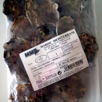 Ostra giga-rugosa/ ostrica concava cassostrea angulata