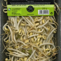 Sprouts from Soja Green