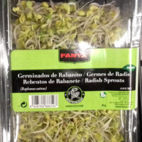 Sprouts from Radish japonés Dish
