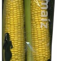 Sweet Corn fresco in mazorca