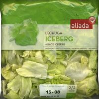 Lechuga Variedad Iceberg
