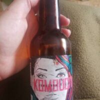 Kombucha jengibre and Lemon