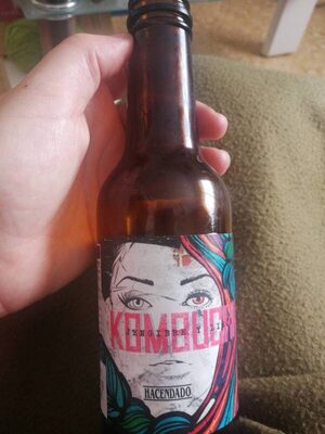 Kombucha jengibre and Lemon Kombucha jengibre and Lemon