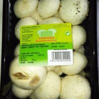 MushroomsWholes