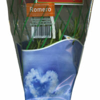Maceta from Romero