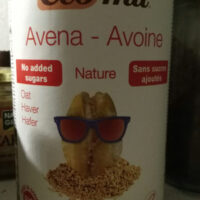 Bebida Oat Nature