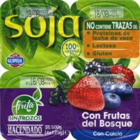 Dessert from Soja with Fruits from the Forrest