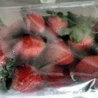Strawberries catégorie 1 - Origin : Spain