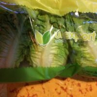 Salades Baby