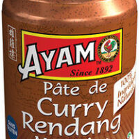 Paste from Curry Rendang Ayam™
