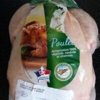 Chicken Chicken