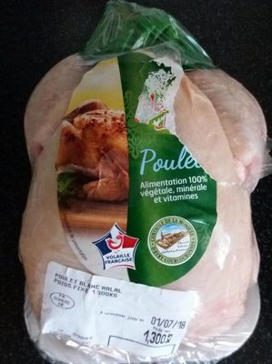 Chicken Chicken