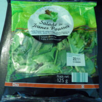 Salad from Jeunes Pousses Salad from Jeunes Pousses