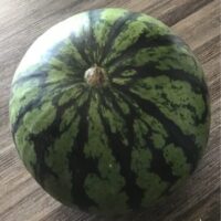 Pastèque