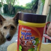 Cacao soluble