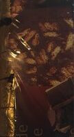 Salami from Chocolate