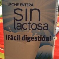 Milk Whole without Lactose