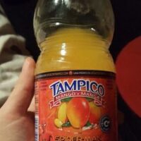 Mangue