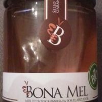 Honey Organic