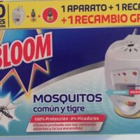 Bloom