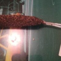 Fuet Pepper