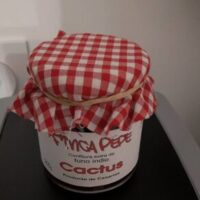 Jam cactus