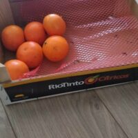 Mandarine cat.1