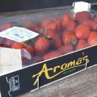 Plus Berries
