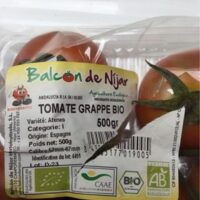 Tomato grappe Bio