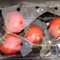 Tomato grappe
