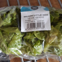 Salad little gem
