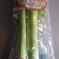 Celery Branche