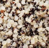 Quinoa