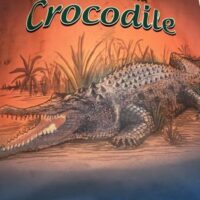Crocodile Jerky Crocodile Jerky
